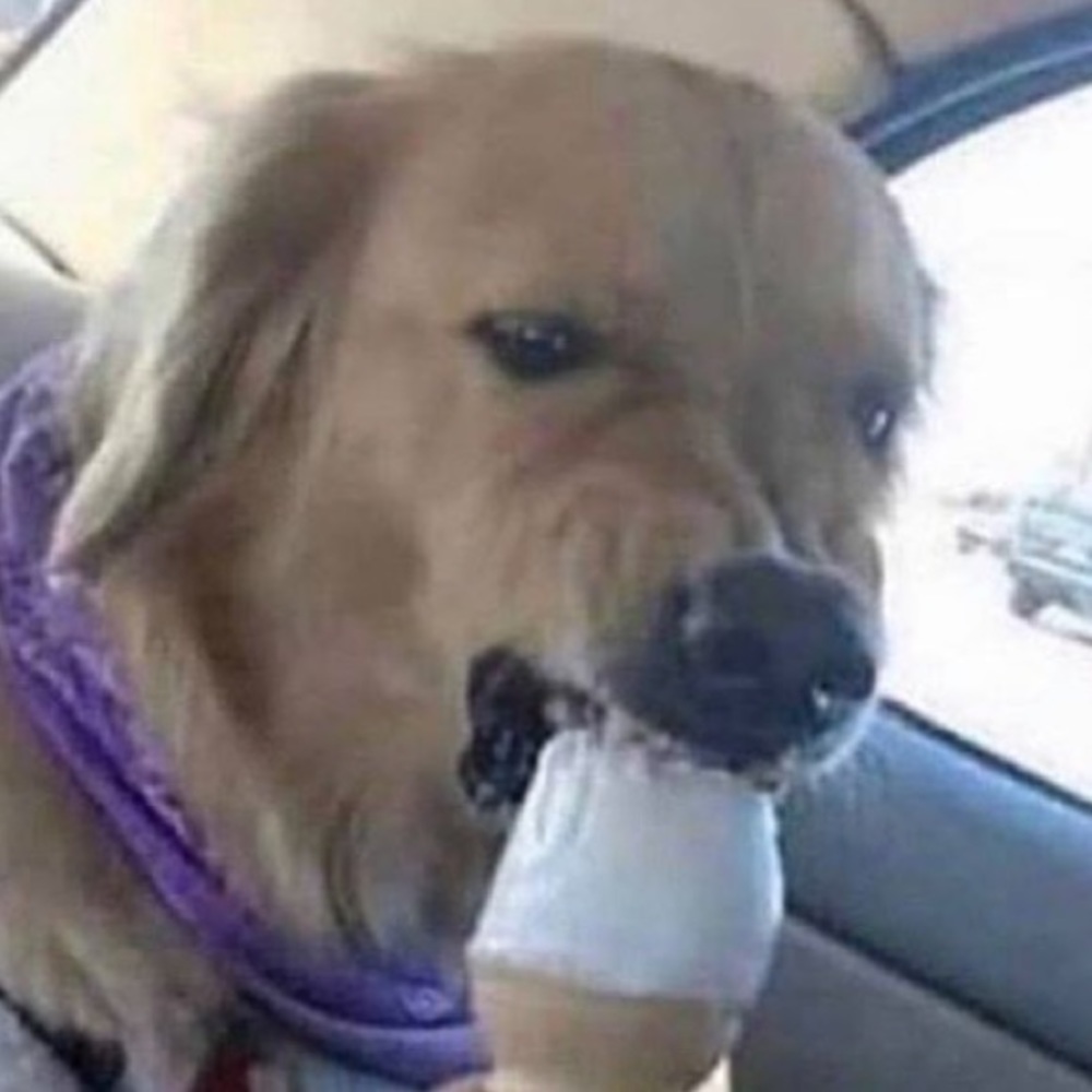 Meet your Posher, Ashlynn